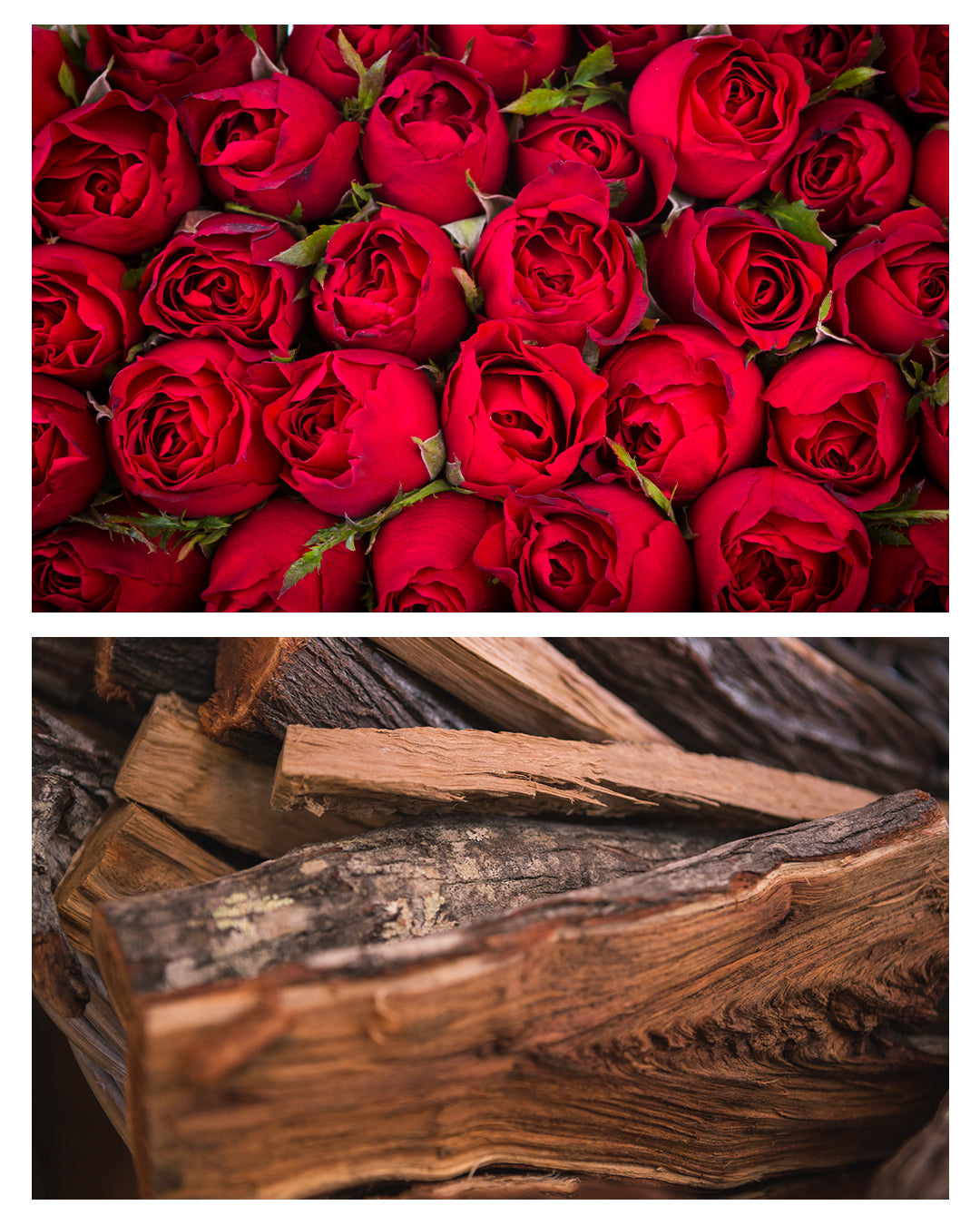 OUD DE ROSES